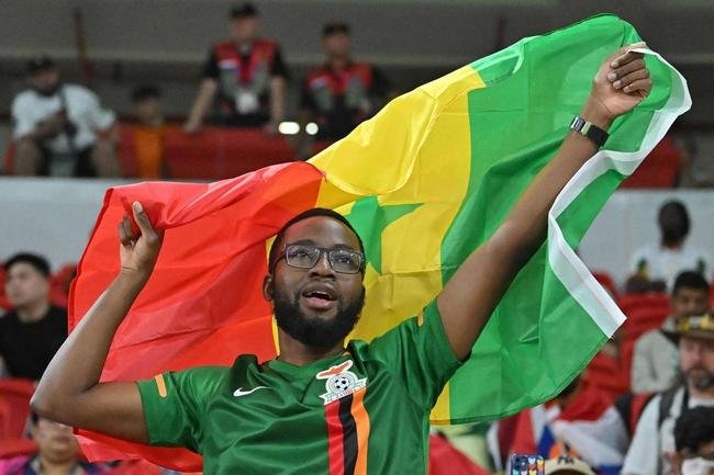 Fotos dos torcedores de Senegal e Holanda durante jogo pelo Grupo A da Copa do Mundo.