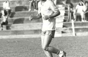 Copa do Mundo de 1982 (Espanha) - No Mundial da Espanha, Careca sofreu uma leso muscular na coxa esquerda durante treino em Sevilha, a quatro dias da estreia. Tel Santana convocou Roberto Dinamite.