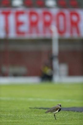 Imagens das torcidas de Villa e Cruzeiro no Alapo do Bonfim