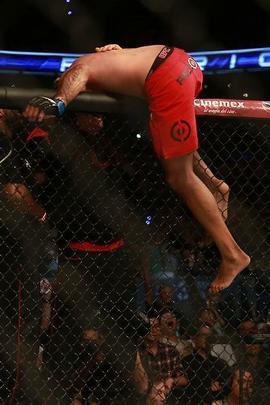 Fotos da vitória arrasadora de Fabrício Werdum sobre Cain Velasquez