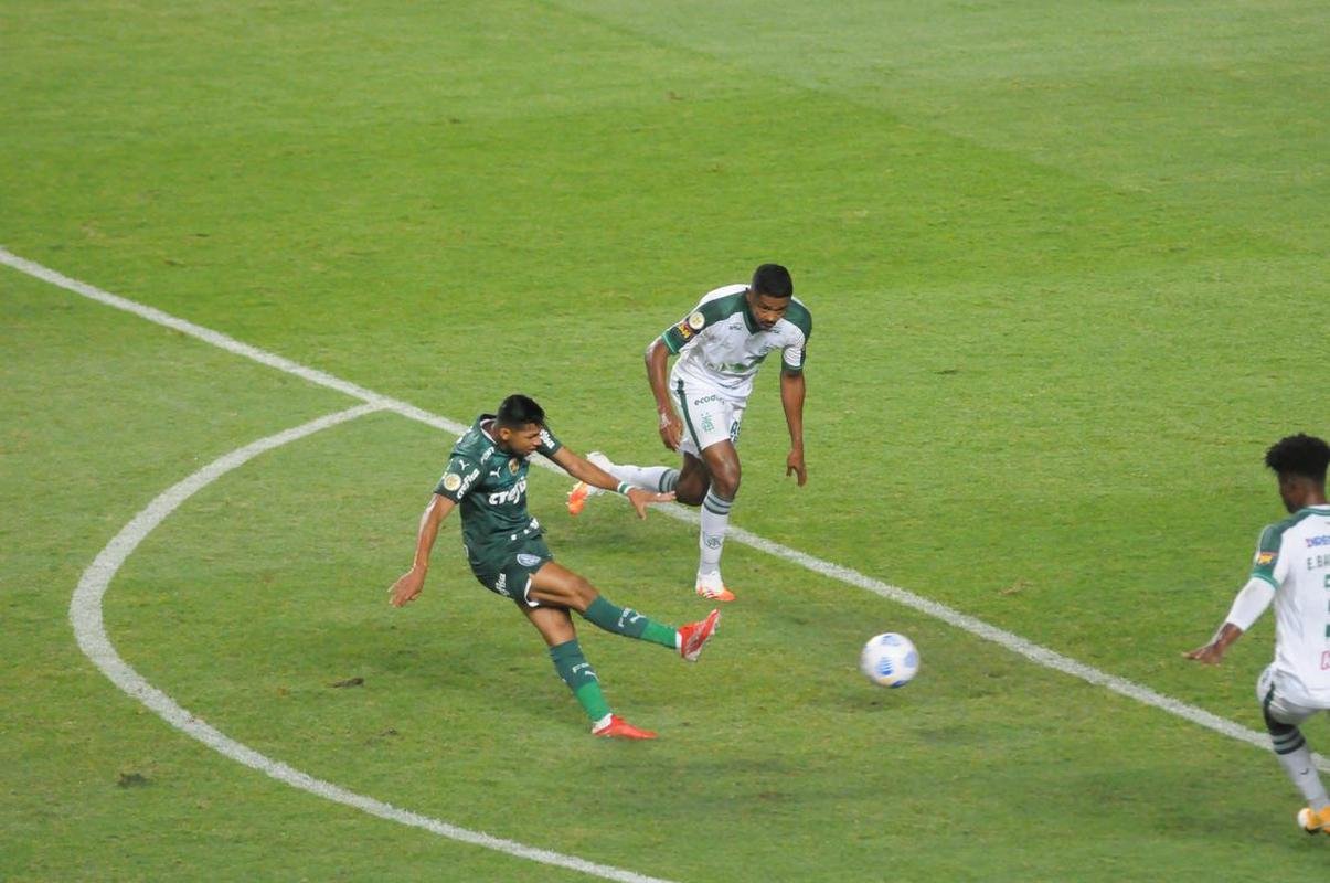 Fotos do jogo entre Amrica e Palmeiras, no Independncia, em Belo Horizonte, pela 24 rodada do Campeonato Brasileiro