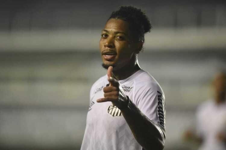 (Foto: Divulga��o/Santos)