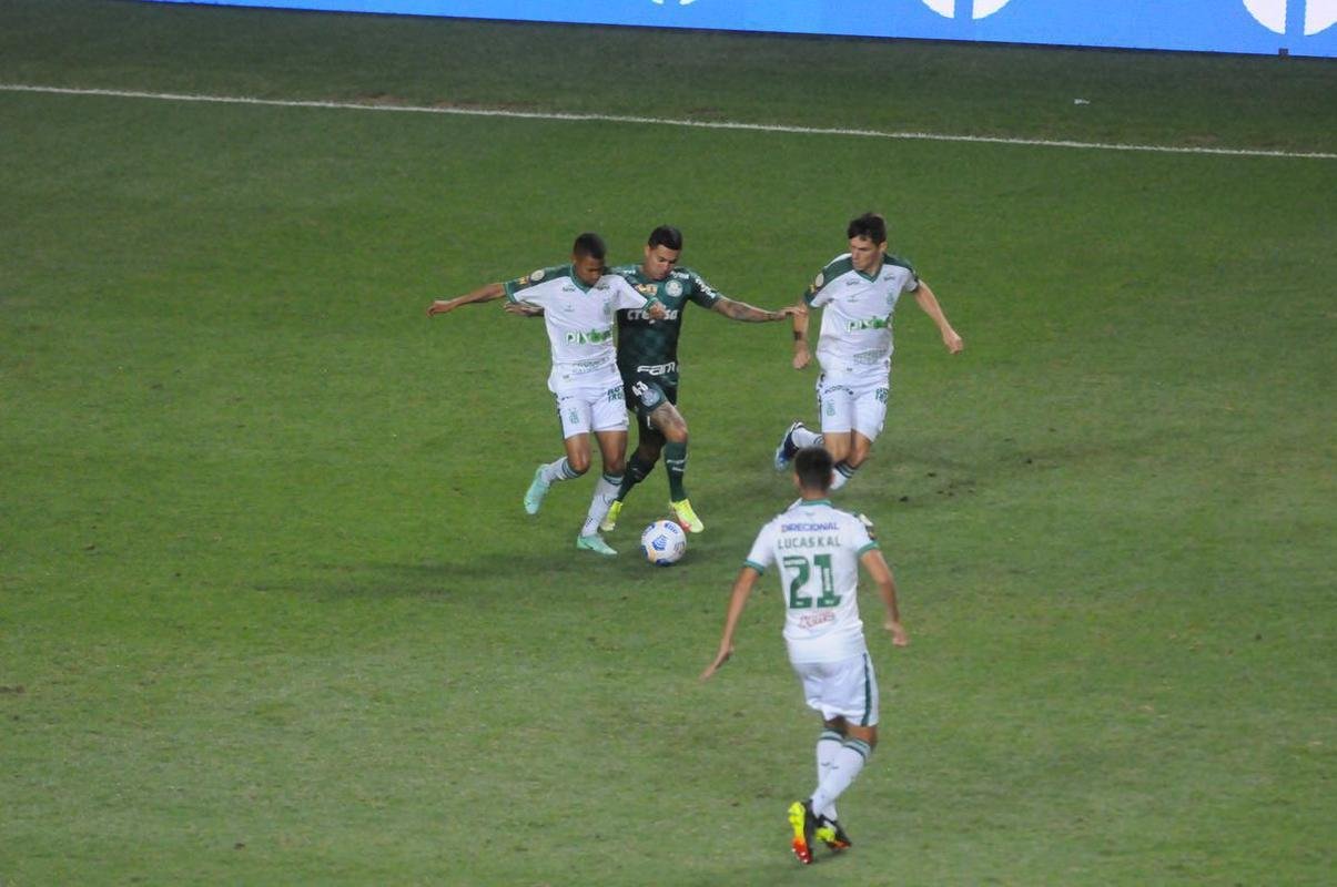 Fotos do jogo entre Amrica e Palmeiras, no Independncia, em Belo Horizonte, pela 24 rodada do Campeonato Brasileiro