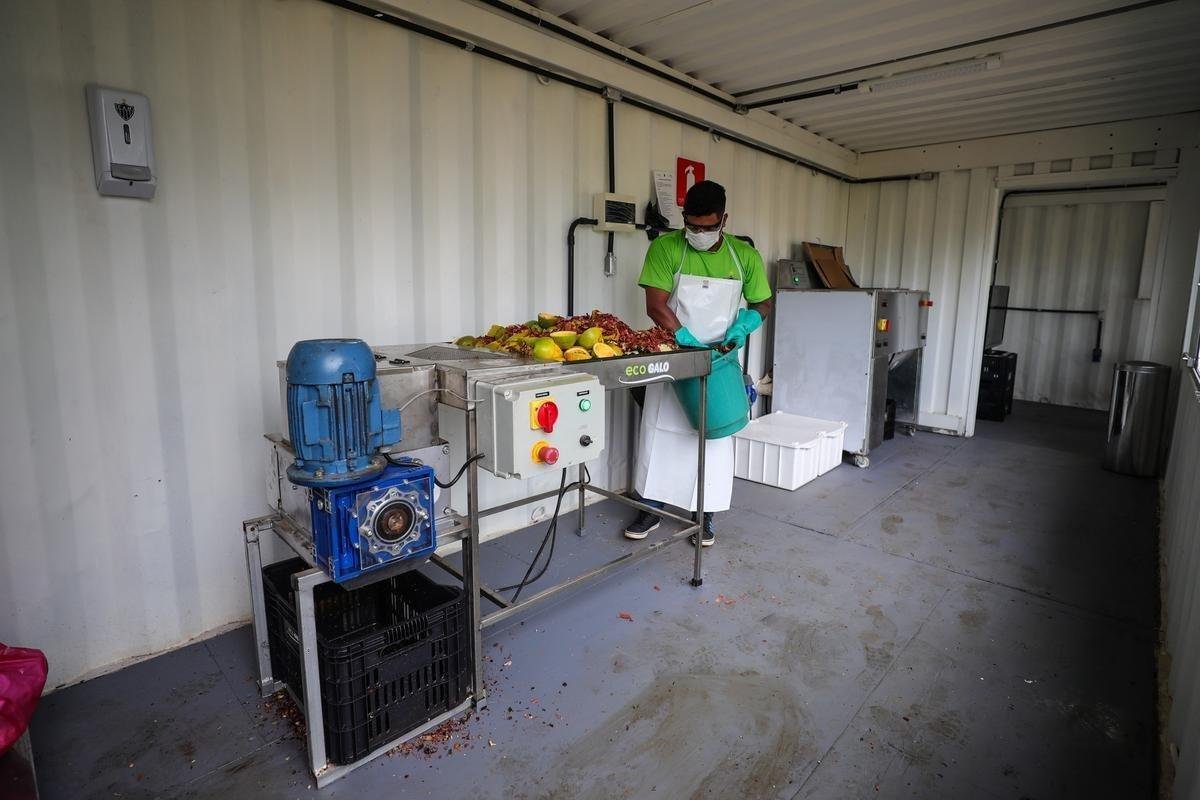 Atltico lanou, nesta quarta-feira, o projeto EcoGalo