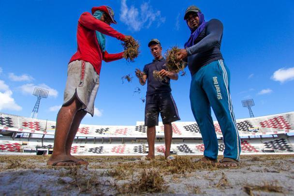 Enquanto aguarda a definição de quem será o treinador para iniciar montagem do elenco, Santa Cruz investe na reforma do gramado de seu estádio para receber as partidas da temporada 2020
