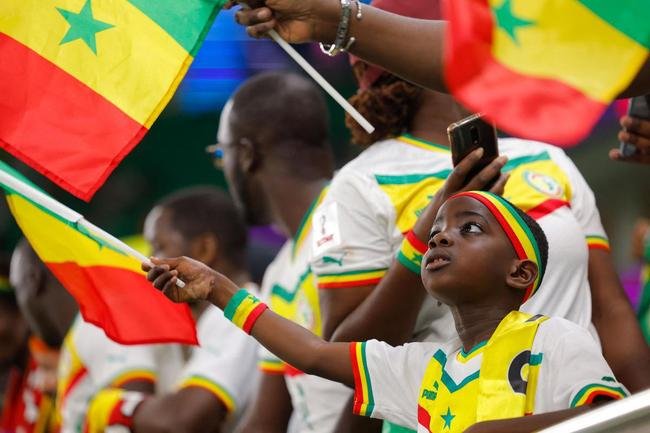 Fotos dos torcedores de Senegal e Holanda durante jogo pelo Grupo A da Copa do Mundo.