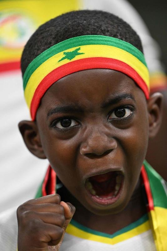 Fotos dos torcedores de Senegal e Holanda durante jogo pelo Grupo A da Copa do Mundo.