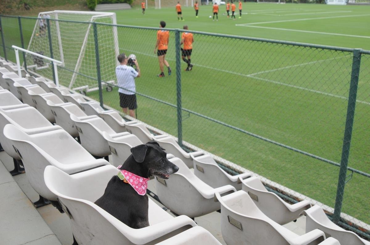 Fotos do Atltico nesta quinta-feira, na Cidade do Galo