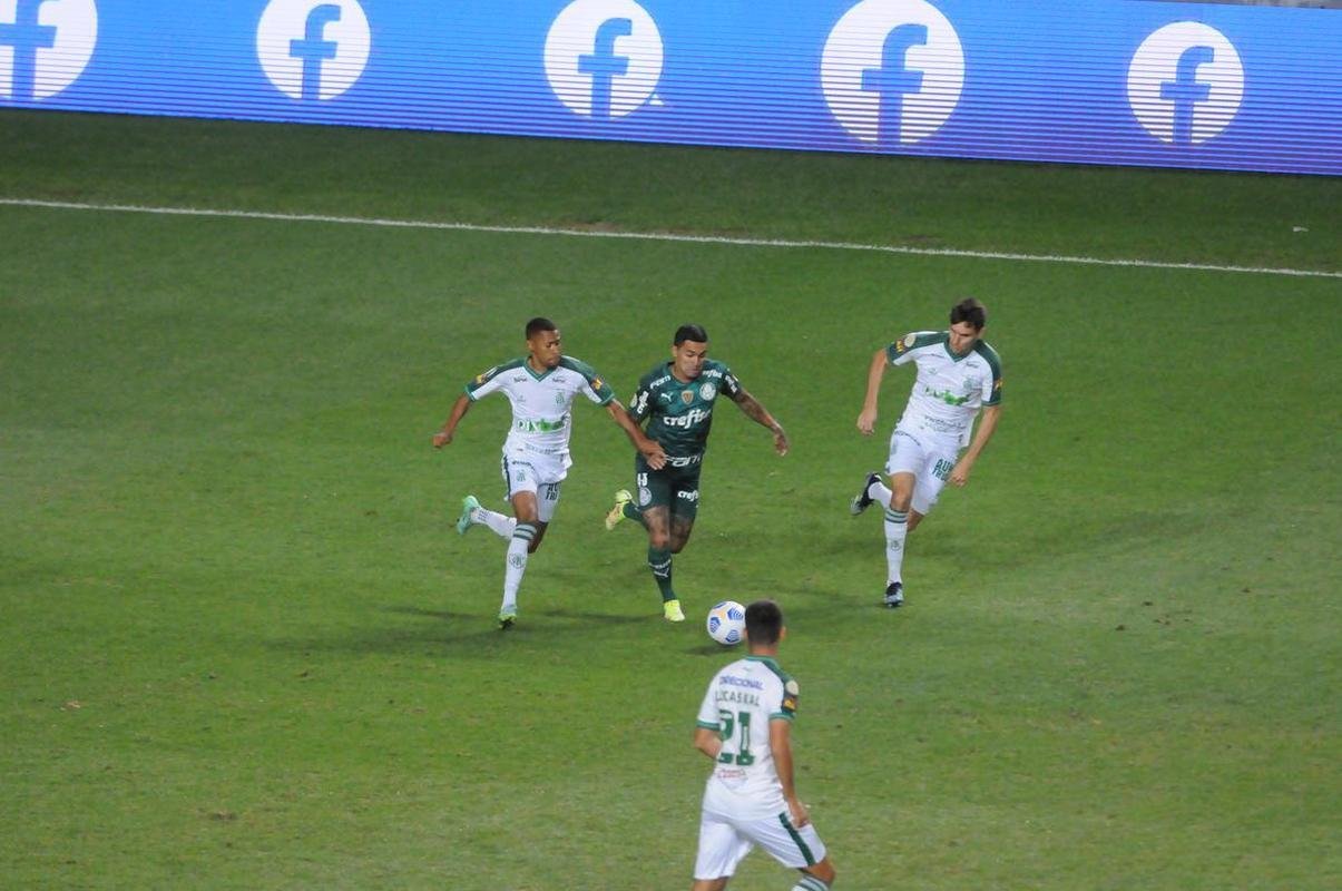 Fotos do jogo entre Amrica e Palmeiras, no Independncia, em Belo Horizonte, pela 24 rodada do Campeonato Brasileiro