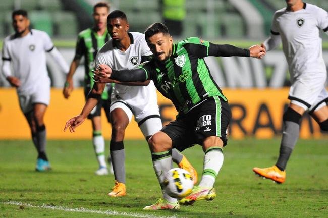 Fotos do jogo entre Amrica e Botafogo, no Independncia, em Belo Horizonte, pela stima rodada do Campeonato Brasileiro
