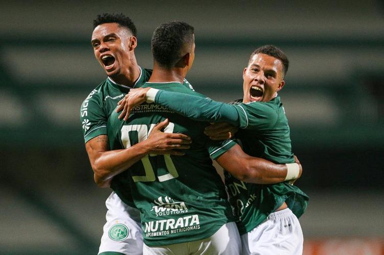 15 - Guarani