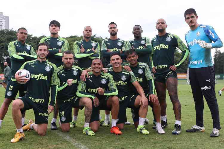 (Foto: Divulgao/ Palmeiras)