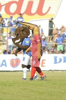 Tamandu, mascote do Guarani, e Raposo, mascote do Cruzeiro, no estdio Fario