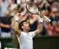 Com direito a 'pneu', Djokovic arrasa Goffin e avana s semifinais de Wimbledon