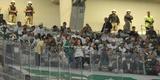 Palmeirenses tambm marcaram presena no Mineiro