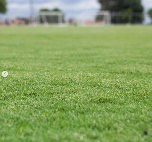Presidente do Cruzeiro, Srgio Santos Rodrigues postou fotos do campo 3 reformado em sua pgina no Instagram