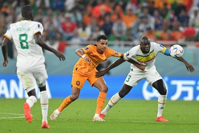 Fotos do jogo entre Senegal e Holanda no Estdio Al Thumama, pelo Grupo A da Copa do Mundo, no Catar