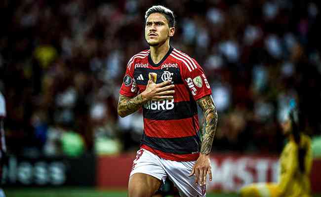 Pedro marcou os dois gols da vitria do Flamengo sobre o ublense pela Libertadores