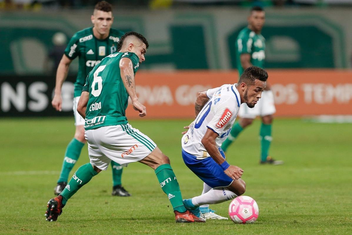 Imagens do jogo entre Palmeiras e Cruzeiro, pelo Campeonato Brasileiro, no Allianz Parque