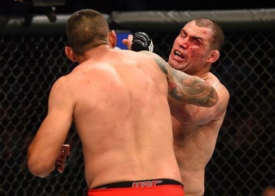 Fotos da vitória arrasadora de Fabrício Werdum sobre Cain Velasquez