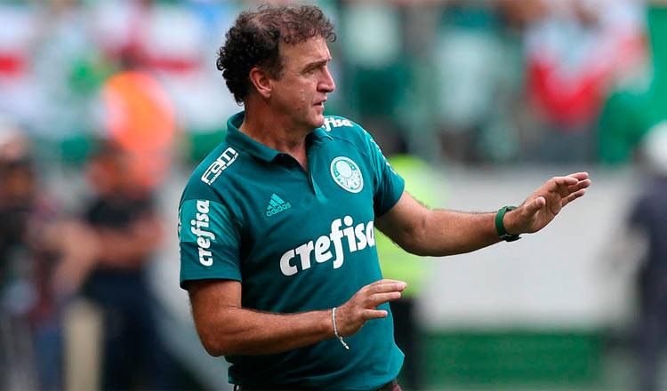 Divulgação Divulgação