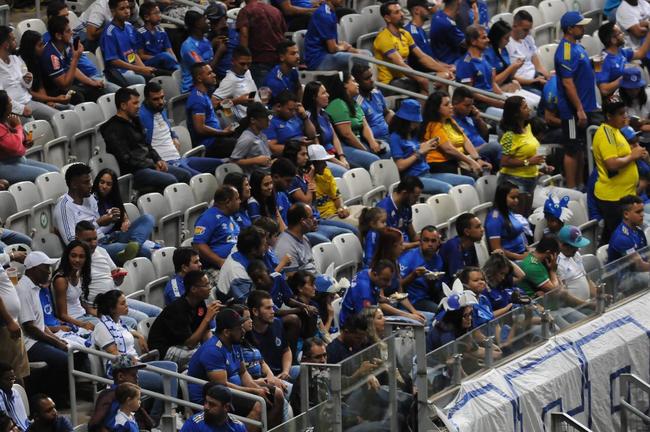 Torcida do Cruzeiro deu show mais uma vez e lotou o Mineiro na partida contra o CRB pela 11 rodada da Srie B