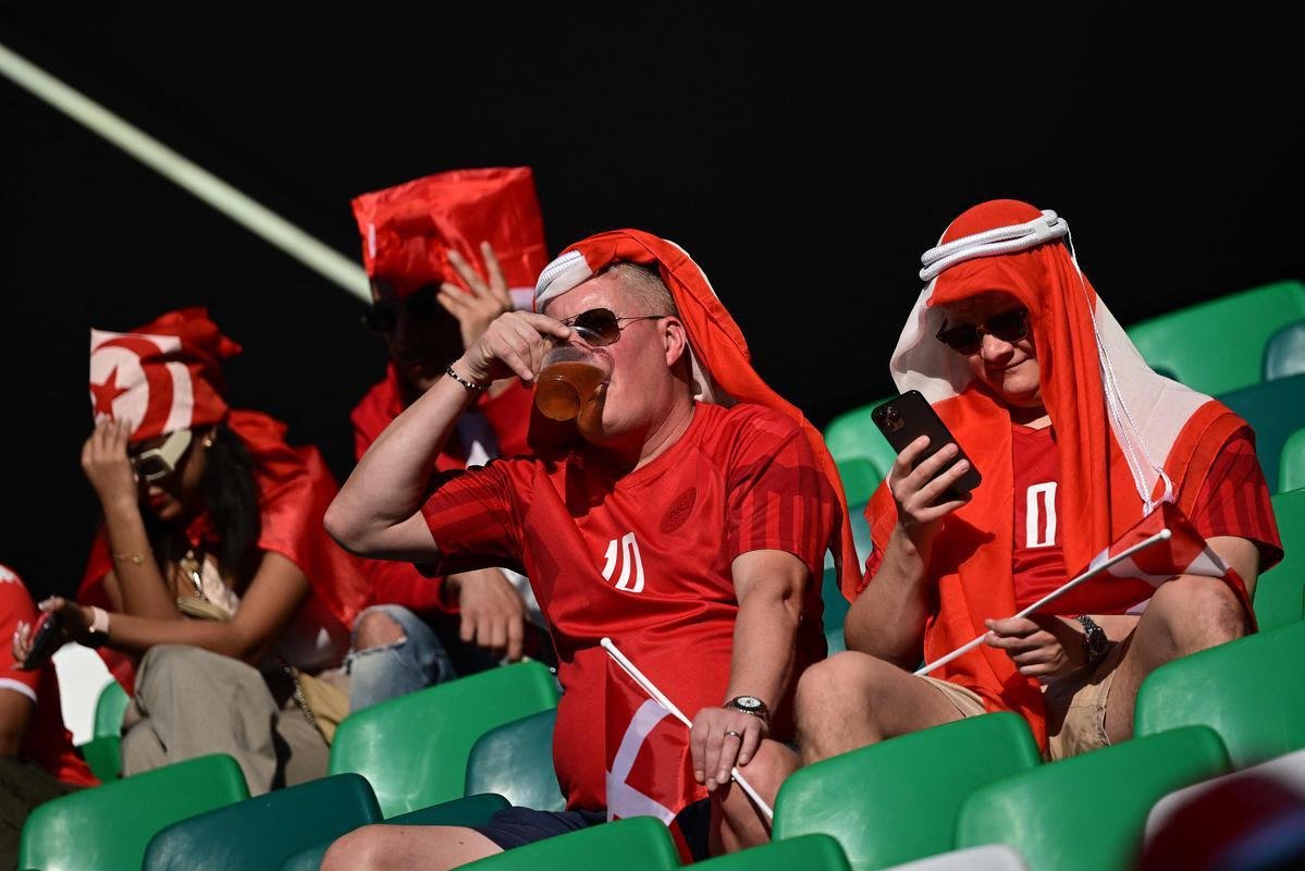 Imagens dos torcedores no jogo entre Dinamarca e Tunsia, pelo Grupo D da Copa do Mundo.