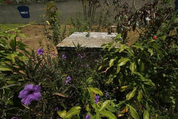 CT Ninho das Cobras j opera com um campo, o segundo segundo teve a drenagem finalizada e segue para os prximos passos da obra