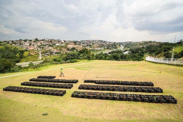 Atlético lançou, nesta quarta-feira, o projeto EcoGalo
