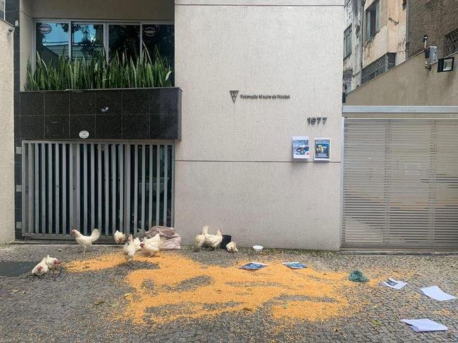 Torcedores levaram galinhas e milhos para a porta da FMF