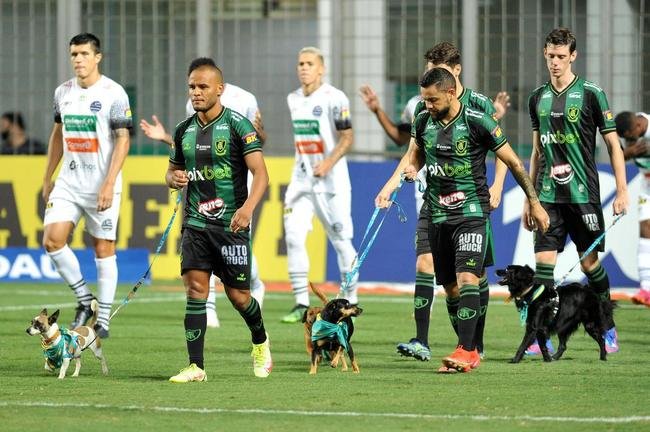 Fotos de Amrica x Athletic, no Independncia, pelo Campeonato Mineiro