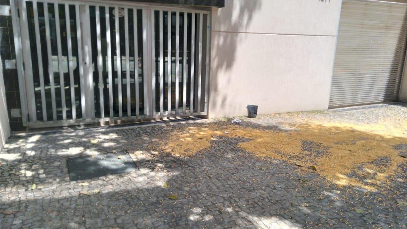 Torcedores levaram galinhas e milho para a porta da FMF