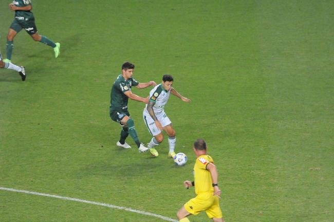 Fotos do jogo entre Amrica e Palmeiras, no Independncia, em Belo Horizonte, pela 24 rodada do Campeonato Brasileiro