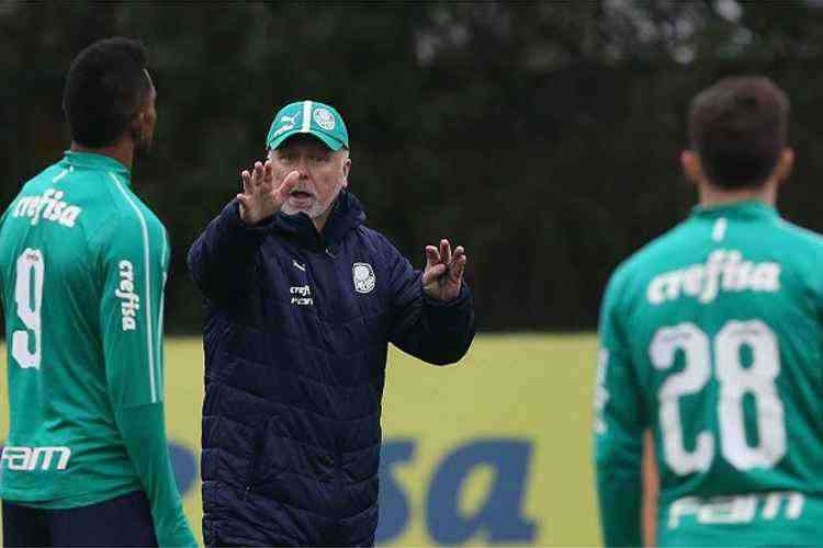 <i>(Foto: Cesar Greco/Ag. Palmeiras/Divulgao)</i>