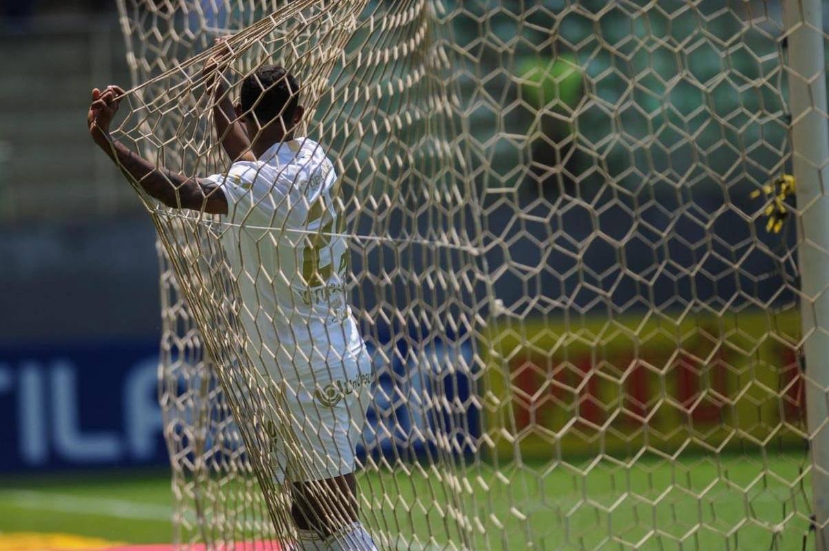 
Cruzeiro e Brasil de Pelotas-RS tm objetivos distintos na Srie B 