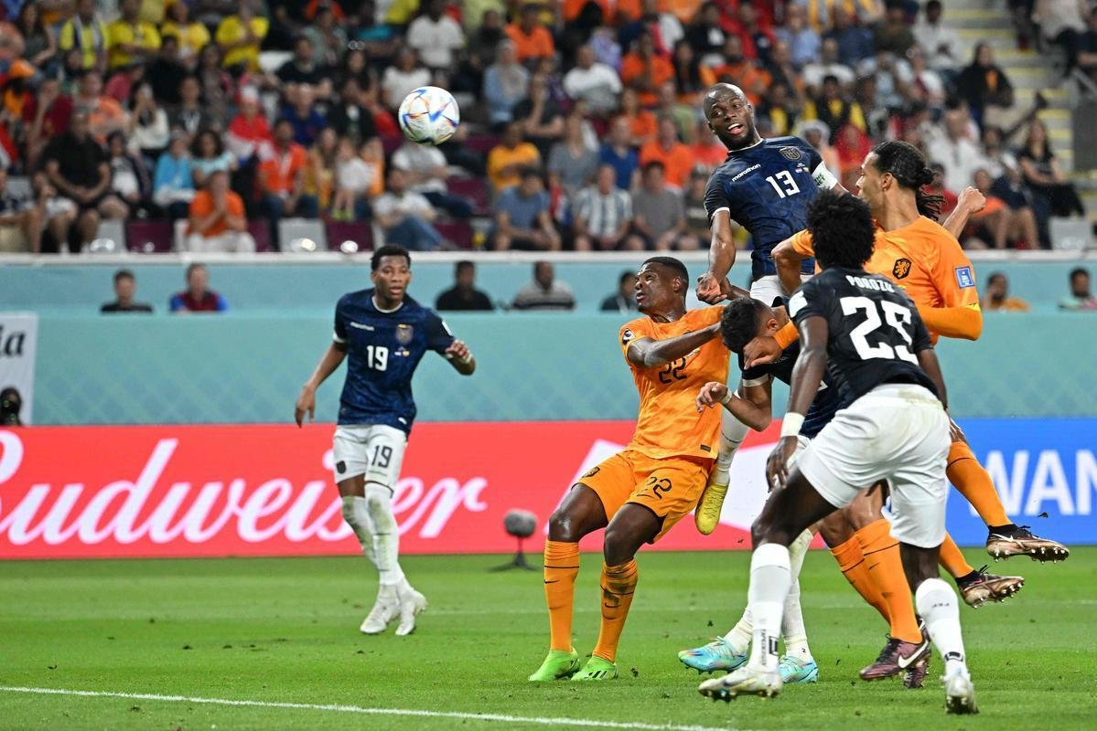 Imagens da partida entre Holanda e Equador, pelo Grupo A da Copa do Mundo de 2022.