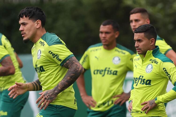(Foto: Divulgação/Palmeiras) (Foto: Divulgação/Palmeiras)