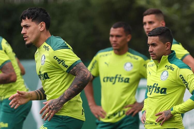 (Foto: Divulgao/Palmeiras)