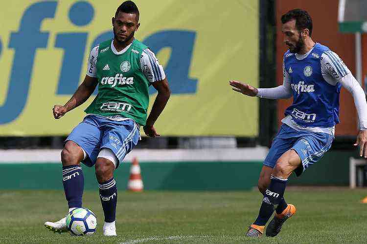 Cesar Greco/Palmeiras