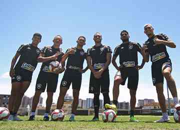 Invicto há sete jogos - quatro vitórias e três empates -, o Botafogo depende apenas de si para retornar à elite