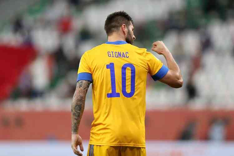 (Foto: Divulgao/Tigres)