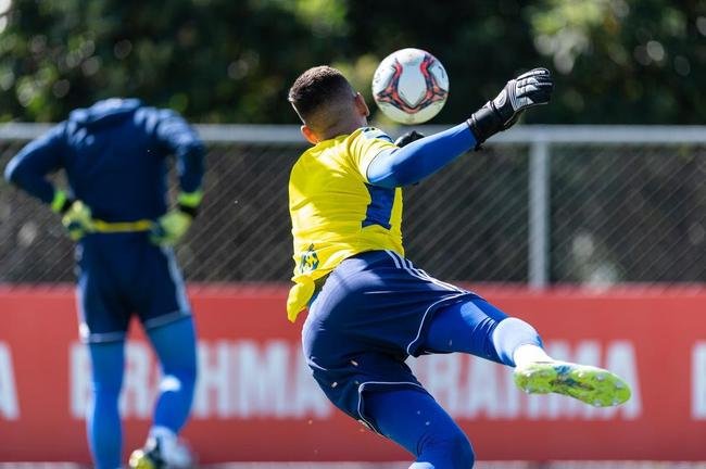 Cruzeiro encerrou a prepara��o para a �ltima rodada do Campeonato Mineiro; Raposa precisa vencer