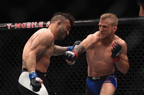 TJ Dillashaw (luvas vermelhas) venceu John Lineker por deciso unnime (triplo 30-26)
