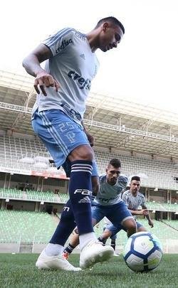 Felipo comandou treino do Palmeiras no Independncia visando ao jogo de quarta, s 21h45, no Mineiro, contra o Cruzeiro, pela semifinal da Copa do Brasil. Time precisa vencer para ir  deciso