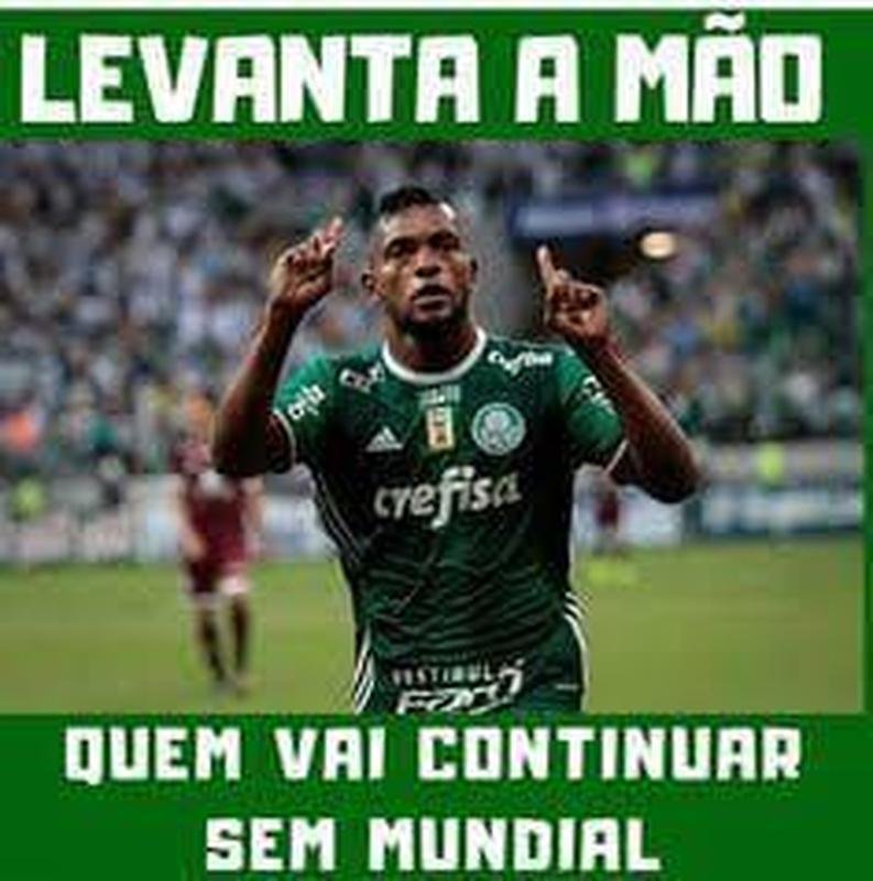 Diversos memes tomaram conta das redes sociais aps a eliminao do Palmeiras na Libertadores