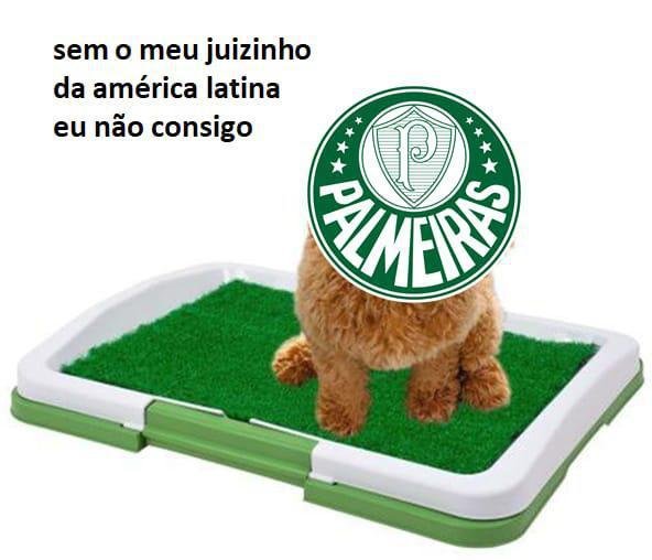 Memes da derrota do Palmeiras