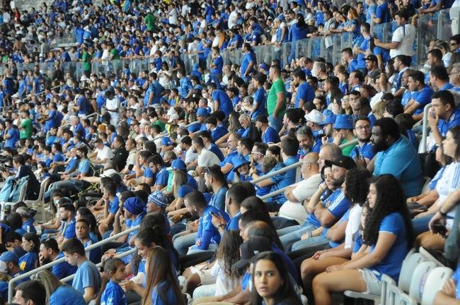 Fotos da torcida do Cruzeiro, no Mineiro, na partida contra a Ponte Preta pela 13 rodada da Srie B do Campeonato Brasileiro. Mineiro recebeu grande pblico mais uma vez