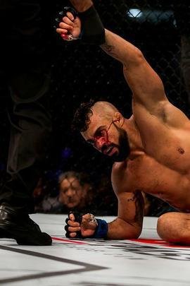 Imagens da vitória arrasadora de Jacaré sobre Belfort