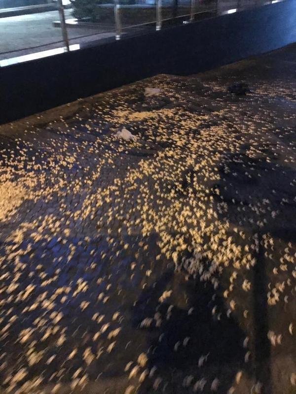 Imagens do protesto da torcida do Atltico na sede de Lourdes