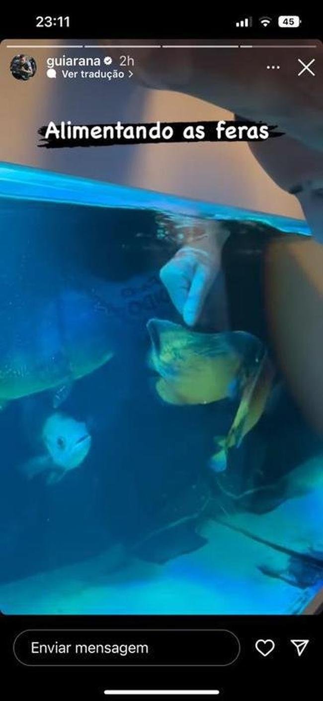 Arana alimenta os peixes de seu aqurio durante as frias - hobby foi 